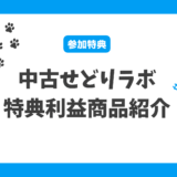 【2025年1月】中古せどりラボ特典利益商品紹介